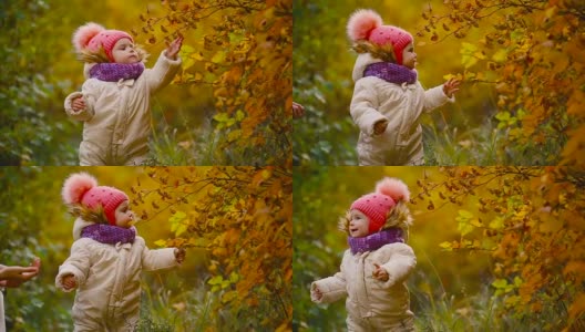 小女孩穿着秋衣，戴着温暖的帽子和围巾，站在公园里看着黄叶从树上飘落。把叶子从树上分离出来高清在线视频素材下载