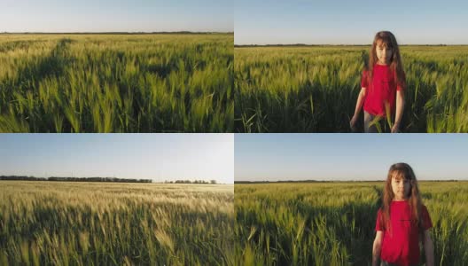 麦田里的女孩高清在线视频素材下载