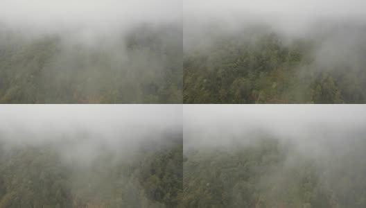 云雾中的雨林。印尼巴厘岛高清在线视频素材下载