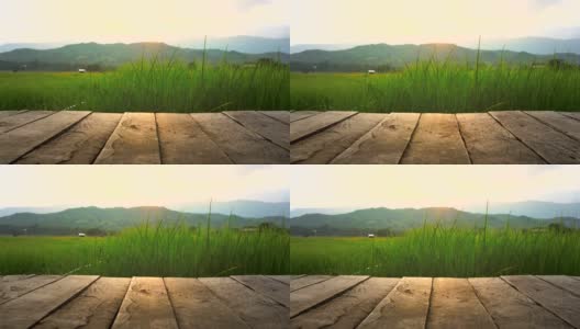 老棕色的木地板旁边的绿色稻田在晚上在泰国使用视频背景，4K分辨率滑块相机拍摄高清在线视频素材下载
