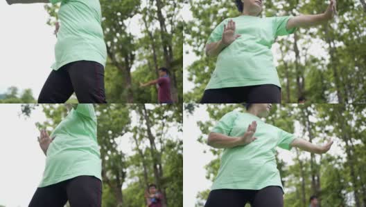 亚洲肥胖老妇人做太极川亚洲武术舞蹈锻炼在公园与伙伴的背景，健康健康的退休生活，缓慢的运动放松平静祥和的环境，高清在线视频素材下载