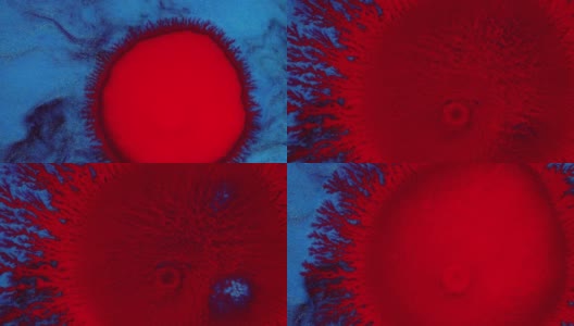 水晶发芽。蓝色背景上的抽象红点。抽象的垃圾艺术，墨水颜料扩散爆炸的背景。高清在线视频素材下载