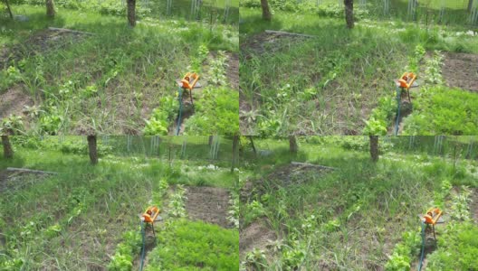 花园里的洒水喷头，慢镜头180fps高清在线视频素材下载
