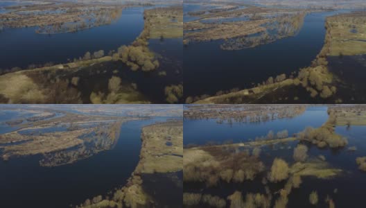 在高水位期间，树木被水淹没。树在水中。白俄罗斯图罗夫附近普里皮亚季河的春天洪水景观。高清在线视频素材下载