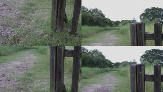 公园里有草地的小径。右边是一个木栅栏。高清在线视频素材下载