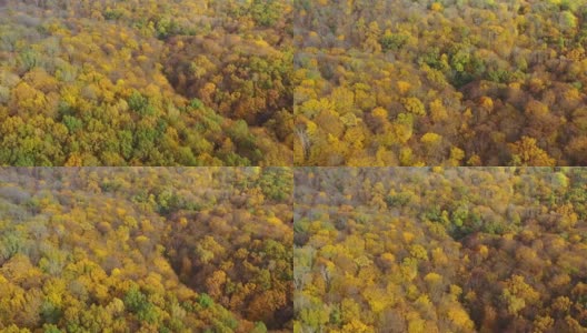 橙色风景秋日公路。鸟瞰图的秋天森林道路。高清在线视频素材下载