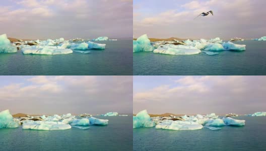 冰岛Jokulsarlon冰川泻湖清晨鸟瞰图高清在线视频素材下载
