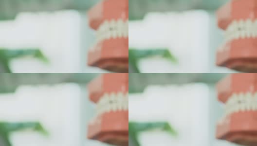女子展示人类下颌模型，解释牙齿生长系统高清在线视频素材下载