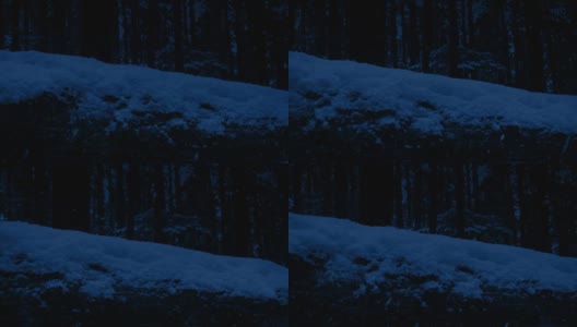 在夜里经过的被雪覆盖的原木高清在线视频素材下载