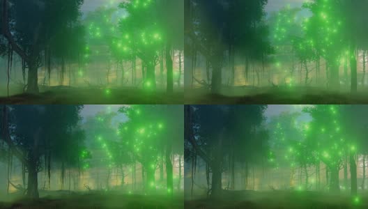 迷雾夜森林中的魔法灯高清在线视频素材下载