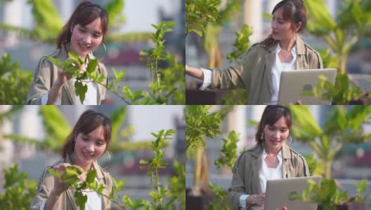 亚洲商业女性在农场中使用人工智能和增强现实技术来帮助种植系统，节约水、资源、减少劳动时间高清在线视频素材下载