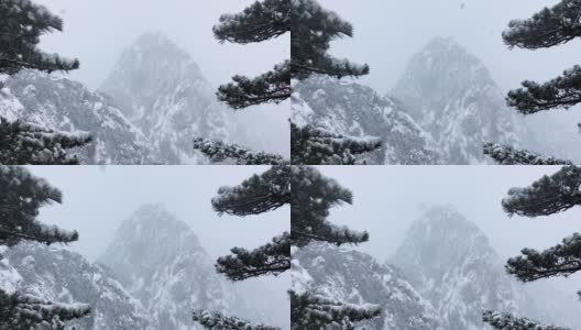 黄山罕见降雪，是联合国教科文组织世界遗产，冬季大雪景区高清在线视频素材下载