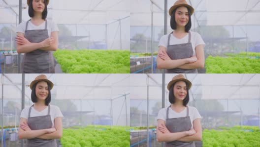 亚洲女农主在蔬菜水培农场工作与幸福。年轻女子交叉手臂，看着镜头微笑，幸福和骄傲在温室农场。高清在线视频素材下载