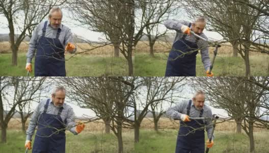 在果园里修剪树木的活跃农民高清在线视频素材下载