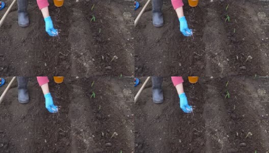 向土壤中引入复合肥料高清在线视频素材下载