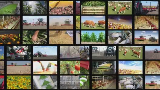 农业-食品生产蒙太奇高清在线视频素材下载