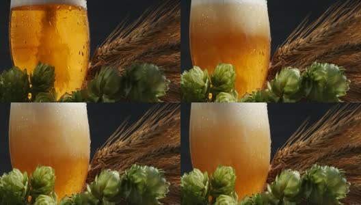 啤酒杯与麦芽和啤酒花。往玻璃杯里倒啤酒。高清在线视频素材下载