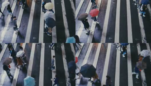 台北台湾-行人过马路在雨天高清在线视频素材下载