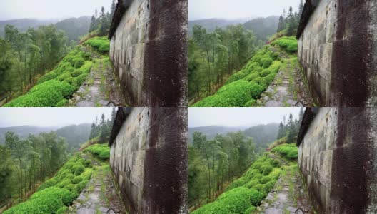 在雨天的婺源山上的茶园，美丽的中国茶山风景和徒步小径，超级慢动作。高清在线视频素材下载