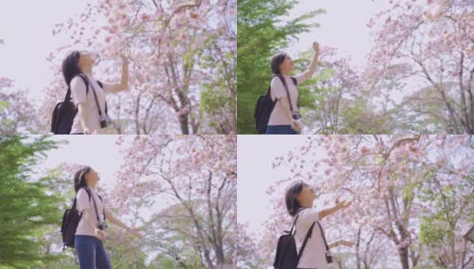 快乐的亚洲女游客在春花公园散步，在假日旅游中拍照休闲活动高清在线视频素材下载
