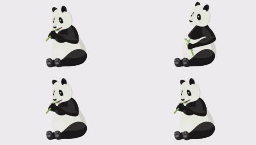 熊猫。吃芦苇的熊猫的动画。卡通高清在线视频素材下载