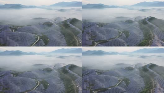 山上的太阳能发电厂在晨雾中高清在线视频素材下载