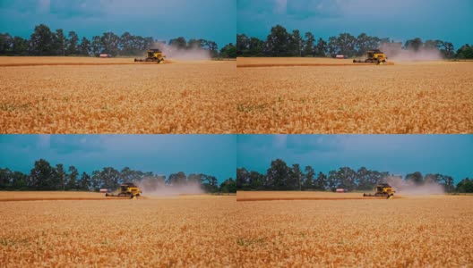 黄田在季节工。农机在蓝天下收割成熟的小麦小穗。夏天在旱地上工作的现代联合收割机。高清在线视频素材下载