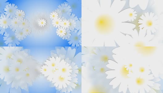 蓝色背景上的雏菊草地。动画。高清在线视频素材下载