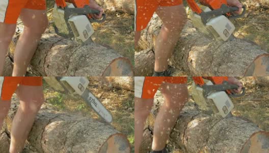 伐木工人正在砍树干高清在线视频素材下载