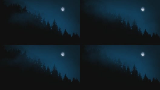 在野外的夜晚，雾在树上移动高清在线视频素材下载