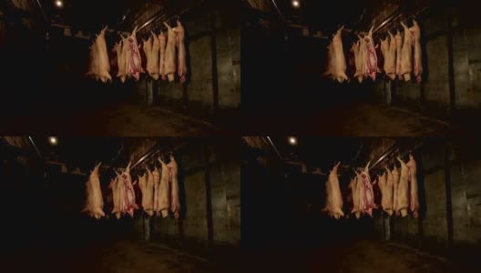 肉制品厂挂在钩子上的猪肉尸体。高清在线视频素材下载
