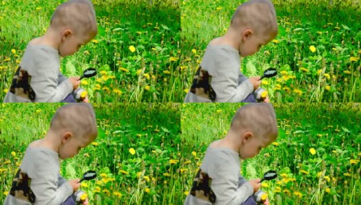 这孩子用放大镜看花。有选择性的重点。高清在线视频素材下载