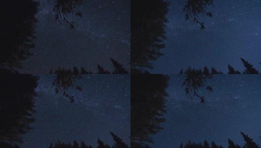 星星时间流逝天空旋转空间与森林前景天体摄影高清在线视频素材下载