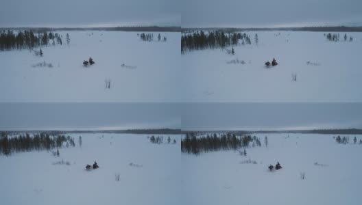 冬季驯鹿在深雪林里拉雪橇的跟踪镜头高清在线视频素材下载