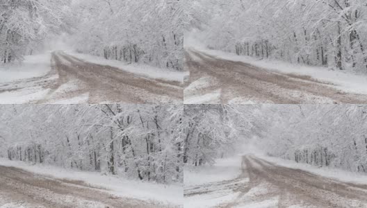 冬天森林里的慢镜头降雪高清在线视频素材下载