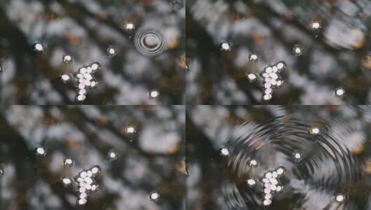 水滴落在被粉红色樱花花瓣覆盖的池塘里，慢镜头里泛起阵阵涟漪。高清在线视频素材下载