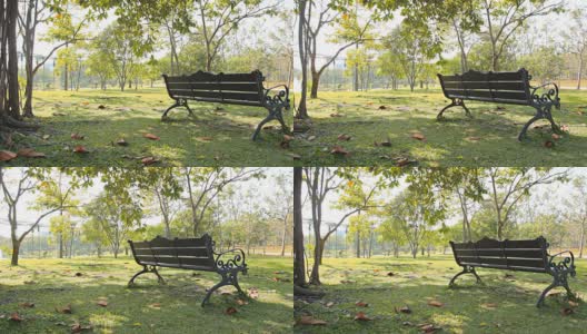 多莉:公园草坪上的长椅。高清在线视频素材下载
