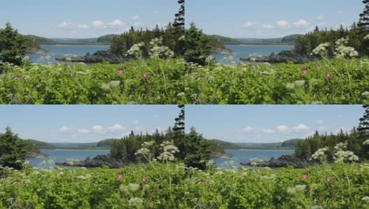 加拿大魁北克比克国家公园的自然景观高清在线视频素材下载