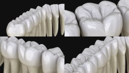 下颌牙齿，宏观视图。医学上准确的牙齿3D动画。高清在线视频素材下载