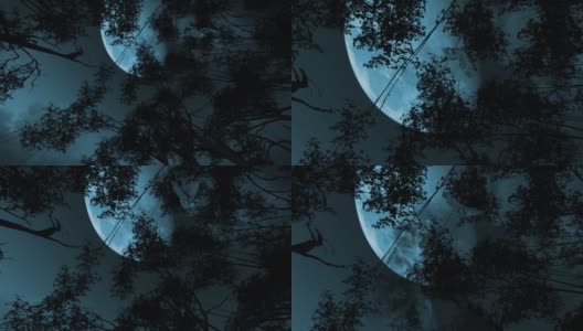 飞行的大美国角猫头鹰的3D动画剪辑在恐怖的夜晚与爬行的脸在月球上高清在线视频素材下载