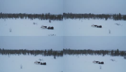 People sitting with reindeer sledding on deep snow高清在线视频素材下载