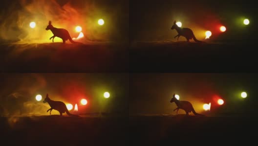 在雾蒙蒙的夜晚，一只微型袋鼠的剪影。创意桌子装饰与彩色背光与雾。有选择性的重点高清在线视频素材下载