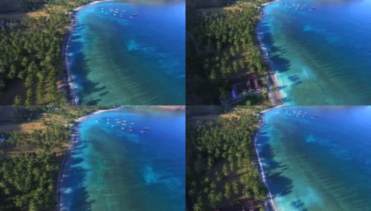 空中椰子树和热带海滩高清在线视频素材下载
