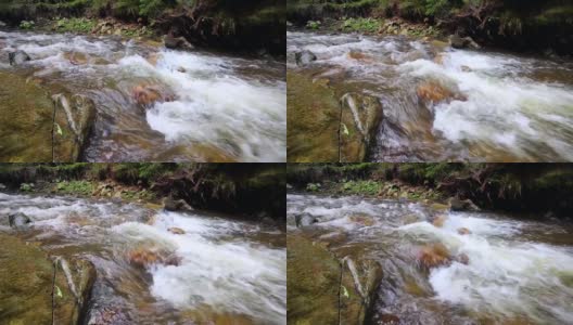 山区森林河流中湍急的水流高清在线视频素材下载