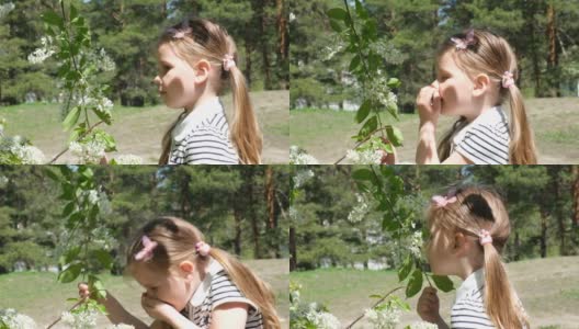 儿童花粉过敏。小女孩闻鸟樱桃花，打喷嚏和擤鼻子因为季节性过敏。春季过敏的概念。高清在线视频素材下载