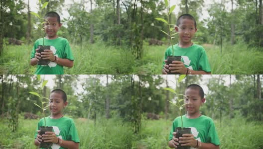 孩子在森林里为种植园搬运树木。地球日。高清在线视频素材下载