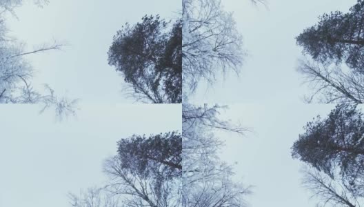 在冬天的一天，在树枝和雪结冰的树下移动高清在线视频素材下载