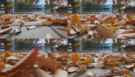 秋天的树叶落在学校的长凳上高清在线视频素材下载
