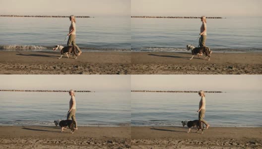 夕阳西下，成熟的女人带着狗在沙滩上散步高清在线视频素材下载