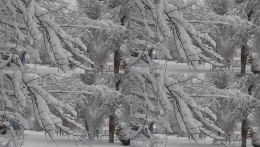 树枝上的人们走在雪地里的城市街道上，在冬天的室外高清在线视频素材下载